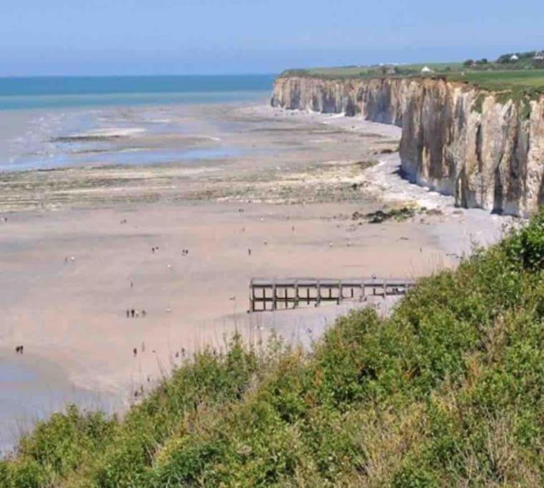 Superbe appartement entre mer et ville Dieppe Extérieur photo